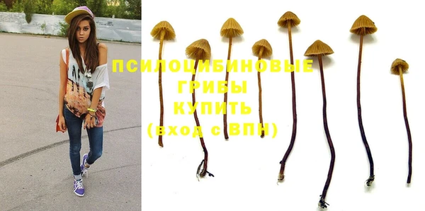 круглые Аркадак