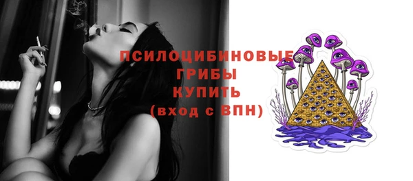 гидропоника Алзамай
