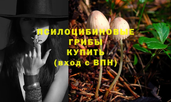 круглые Аркадак