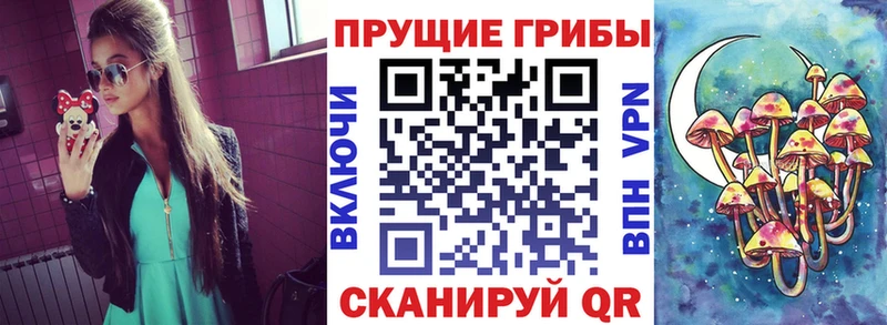 Псилоцибиновые грибы мицелий  где можно купить   Харовск 